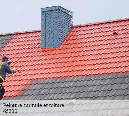 peinture-sur-tuile-et-toiture
