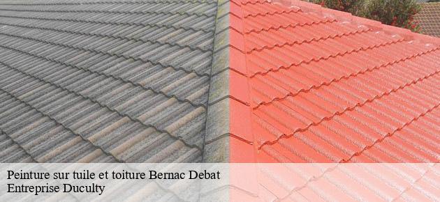 peinture-sur-tuile-et-toiture