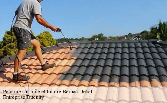 peinture-sur-tuile-et-toiture