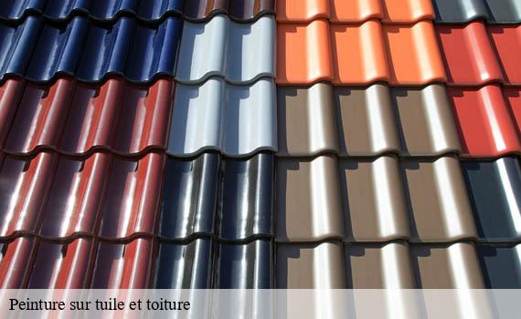 peinture-sur-tuile-et-toiture