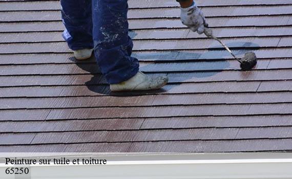 peinture-sur-tuile-et-toiture