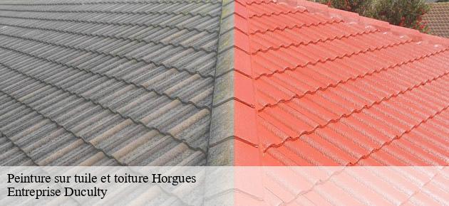 peinture-sur-tuile-et-toiture