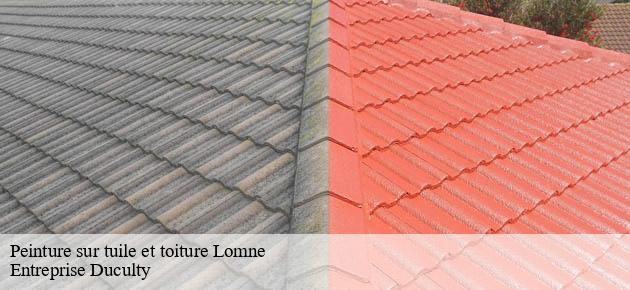 peinture-sur-tuile-et-toiture