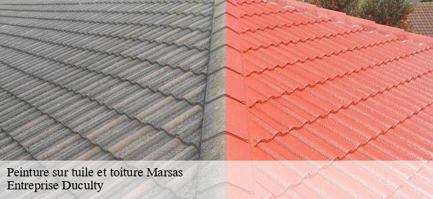 peinture-sur-tuile-et-toiture