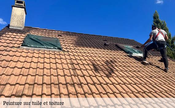 peinture-sur-tuile-et-toiture