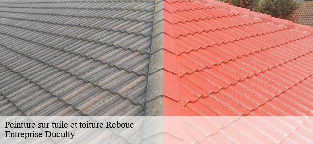 peinture-sur-tuile-et-toiture